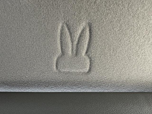 アルトラパンLC X 衝突被害軽減ブレーキ 車線逸脱防止装置 スマートキー クリアランスソナー アイドリングストップ ECS LEDヘッドライト(52枚目)