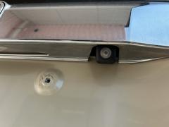 ����������Τ��֤�¿�����Ĺ������ꤤ����������ˡ��������ե��Ϻ�Ĺ����ǯ�֡����������ܰʾ�򥫥С����룱��ǯ�ݾڥץ����Ѱդ��Ƥ���ޤ�����󣳣����ߤǤ��������������ޤ��ΤǤ��Ҥ���Ƥ�������� 6