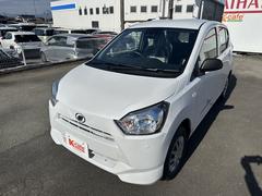 �������ե��Ǥϡ������ʥ����륹�к��Ȥ���Ǽ�ֻ��˽��ݻܹ���ԤäƤ��ޤ����꤬¿���������������ݤ��뤳�ȤǤ�����ޤΰ��Ϥ���¿��Ǥ����ܤ����ϥ������ե��ޤǤ��䤤��碌���������� 2