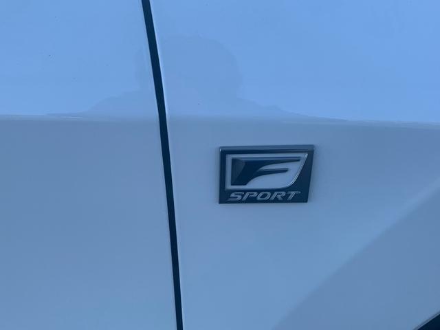 ＲＸ ＲＸ３００　Ｆスポーツ　サンルーフ・セーフティーシステム・全方位ドライブレコーダー・赤革シート（8枚目）