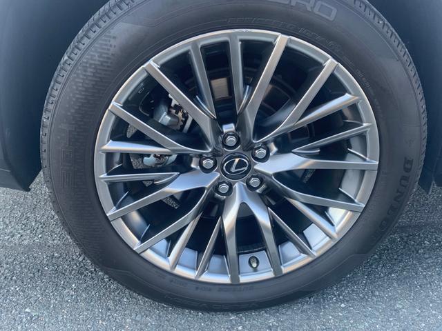 ＲＸ ＲＸ３００　Ｆスポーツ　サンルーフ・セーフティーシステム・全方位ドライブレコーダー・赤革シート（9枚目）