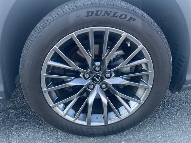 ＲＸ ＲＸ３００　Ｆスポーツ　サンルーフ・セーフティーシステム・全方位ドライブレコーダー・赤革シート（11枚目）