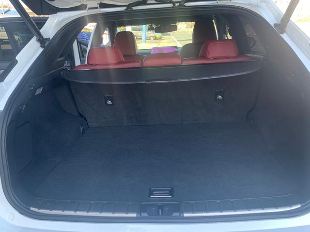 ＲＸ ＲＸ３００　Ｆスポーツ　サンルーフ・セーフティーシステム・全方位ドライブレコーダー・赤革シート（26枚目）