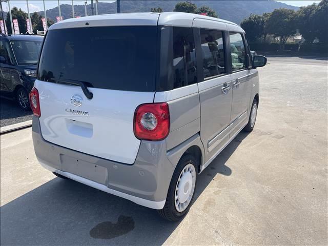 ムーヴキャンバス ストライプス　Ｇ（8枚目）