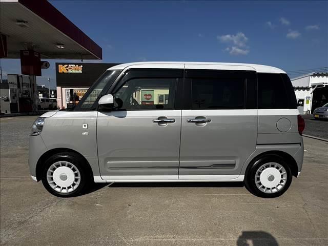 ムーヴキャンバス ストライプス　Ｇ（5枚目）