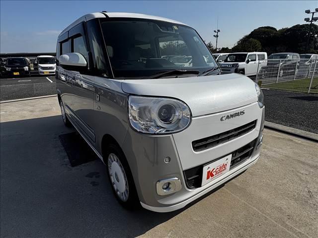 ムーヴキャンバス ストライプス　Ｇ（10枚目）