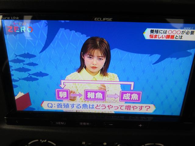 ジムニー XC 新品ルーフラック+Hライト RAYSデイトナFDX-J+ジオランダーMT 3インチリフトUP ブラックM全塗装修復歴軽度 LEDテール FRPボンネット SDナビDVDフルセグBluetoothETC(17枚目)