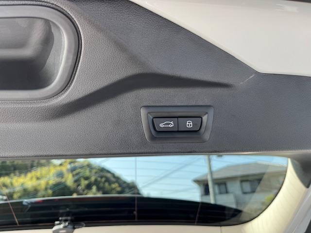 Ｘ５ ｘＤｒｉｖｅ　３５ｄ　エディションＸ（17枚目）