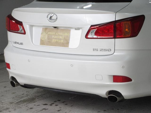 ���ۂɂ��Ԃ����Ă��邩�̂悤�ɂ��낢��Ȋp�x������O�����B���Ă���܂�