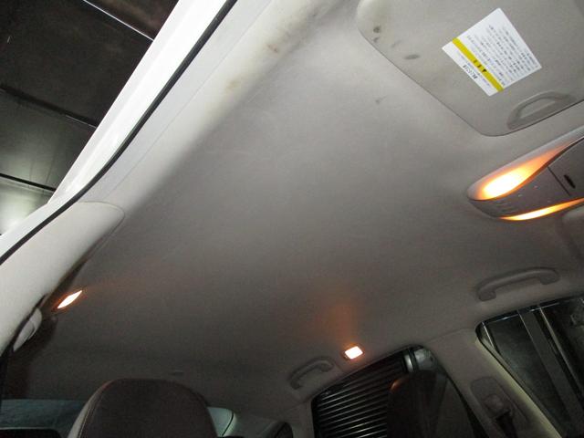 ���Ă��������I�{�f�B�ւ̂��炬��Ƃ����f�荞�݁I�I�h����Ԃ����Ȃ�ǂ��������҂��҂��ȏ�Ԃł��I