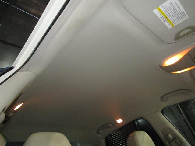 ���Ă��������I�{�f�B�ւ̂��炬��Ƃ����f�荞�݁I�I�h����Ԃ����Ȃ�ǂ��������҂��҂��ȏ�Ԃł��I