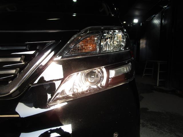 ���[���̐R���Ɏ��M���Ȃ��Ă�������������΃`�����X��̓��ʃ��[�����p�ӁI���X�Ȃ��ŐR���ł��܂��I