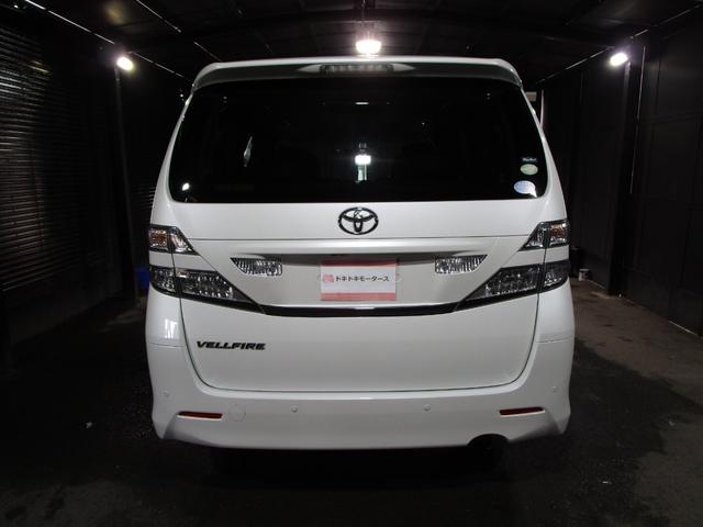 ���[���̐R���Ɏ��M���Ȃ��Ă�������������΃`�����X��̓��ʃ��[�����p�ӁI���X�Ȃ��ŐR���ł��܂��I