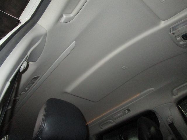 ���Ă��������I�{�f�B�ւ̂��炬��Ƃ����f�荞�݁I�I�h����Ԃ����Ȃ�ǂ��������҂��҂��ȏ�Ԃł��I