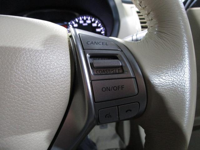 ���[���̐R���Ɏ��M���Ȃ��Ă�������������΃`�����X��̓��ʃ��[�����p�ӁI���X�Ȃ��ŐR���ł��܂��I