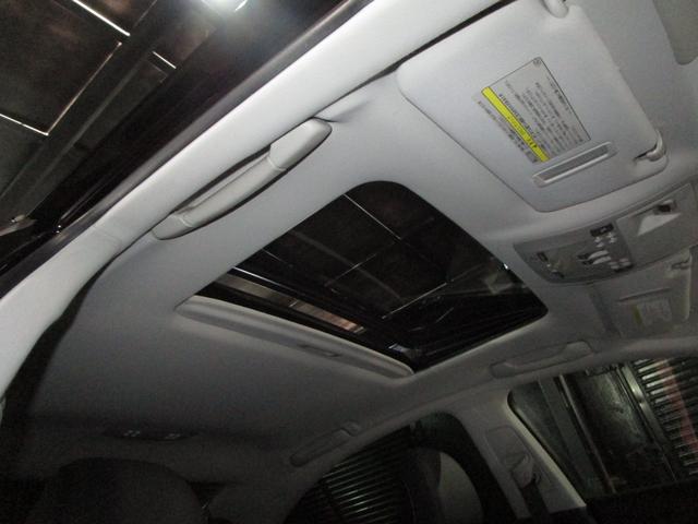 ���Ă��������I�{�f�B�ւ̂��炬��Ƃ����f�荞�݁I�I�h����Ԃ����Ȃ�ǂ��������҂��҂��ȏ�Ԃł��I