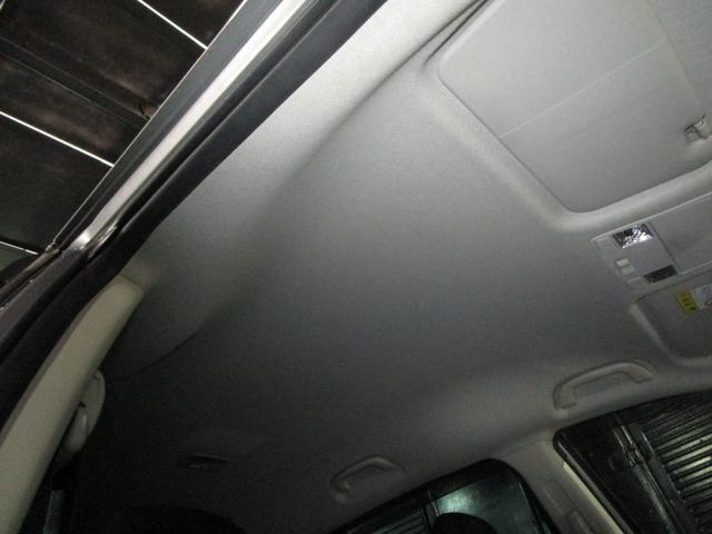 ���Ă��������I�{�f�B�ւ̂��炬��Ƃ����f�荞�݁I�I�h����Ԃ����Ȃ�ǂ��������҂��҂��ȏ�Ԃł��I