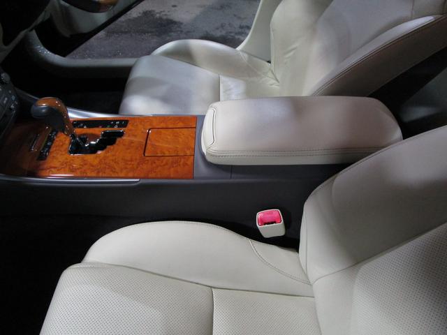 ���Ă��������I�{�f�B�ւ̂��炬��Ƃ����f�荞�݁I�I�h����Ԃ����Ȃ�ǂ��������҂��҂��ȏ�Ԃł��I