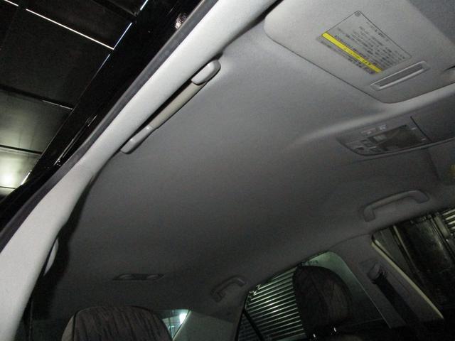 ���Ă��������I�{�f�B�ւ̂��炬��Ƃ����f�荞�݁I�I�h����Ԃ����Ȃ�ǂ��������҂��҂��ȏ�Ԃł��I