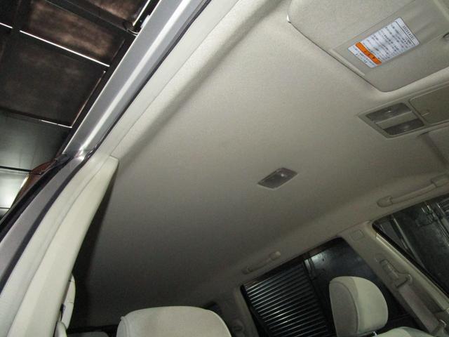 ���Ă��������I�{�f�B�ւ̂��炬��Ƃ����f�荞�݁I�I�h����Ԃ����Ȃ�ǂ��������҂��҂��ȏ�Ԃł��I