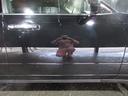 NISSAN LEOPARD