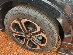 �������� �ϥ��֥�åɡ��������������ȥҡ��������ʥӡ����ޡ��ȥ��� 0803408A30251127W005 7