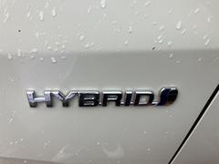 �Υ� �ϥ��֥�åɣǡ��ϥ��֥�åɡ��ߥ顼�����󥫡� 0803408A30251127W007 6