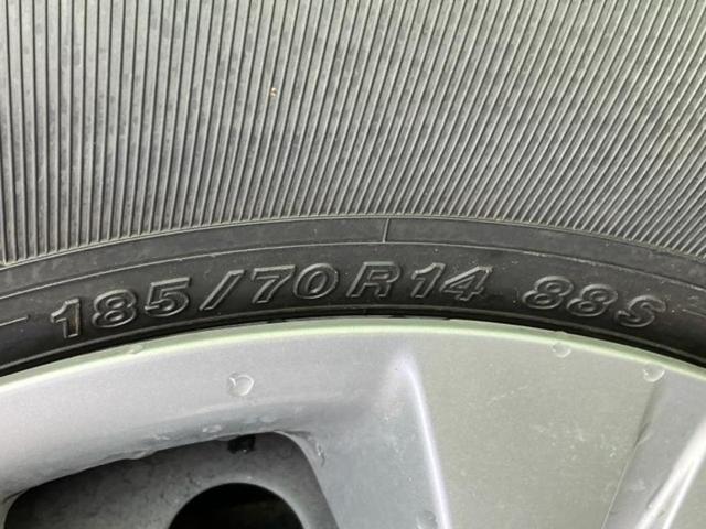 �u���̎Ԃ̎ʐ^�������ƌ������v�u��Ԃ��C�ɂȂ�v�u���̑����͂��Ă���H�v�ǂ�ȏ����ȋ^��ł����C�y�ɂ��₢���킹���������I