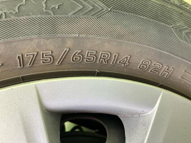 �u���̎Ԃ̎ʐ^�������ƌ������v�u��Ԃ��C�ɂȂ�v�u���̑����͂��Ă���H�v�ǂ�ȏ����ȋ^��ł����C�y�ɂ��₢���킹���������I