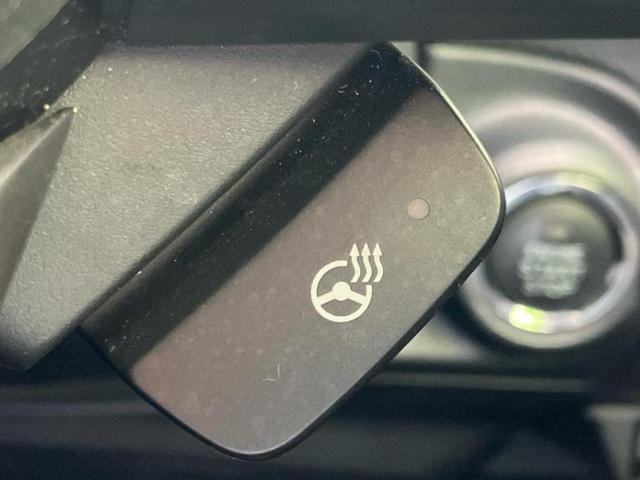 フォレスター ４ＷＤアドバンス　保証書／社外　ＳＤナビ／デジタルインナーミラー／アイサイト／シートヒーター／車線逸脱防止支援システム／シート　ハーフレザー／ドライブレコーダー　純正／ヘッドランプ　ＨＩＤ／ＵＳＢジャック　バックカメラ（34枚目）