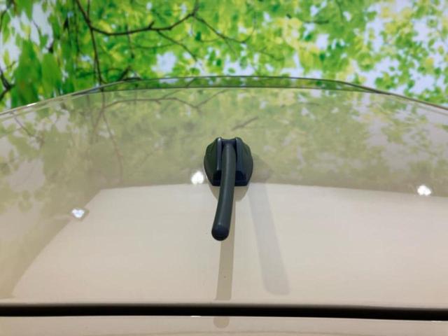 タフト Ｘ　新品タイヤ／ガラスルーフ／保証書／スマートアシスト（トヨタ・ダイハツ）／車線逸脱防止支援システム／ヘッドランプ　ＬＥＤ／横滑り防止装置／アイドリングストップ／禁煙車／エアバッグ　運転席　レーンアシスト（36枚目）