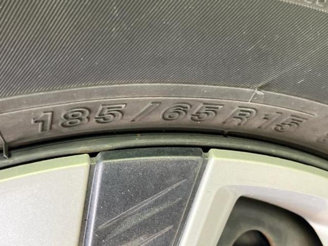 �u���̎Ԃ̎ʐ^�������ƌ������v�u��Ԃ��C�ɂȂ�v�u���̑����͂��Ă���H�v�ǂ�ȏ����ȋ^��ł����C�y�ɂ��₢���킹���������I