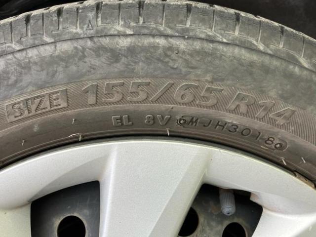 �u���̎Ԃ̎ʐ^�������ƌ������v�u��Ԃ��C�ɂȂ�v�u���̑����͂��Ă���H�v�ǂ�ȏ����ȋ^��ł����C�y�ɂ��₢���킹���������I