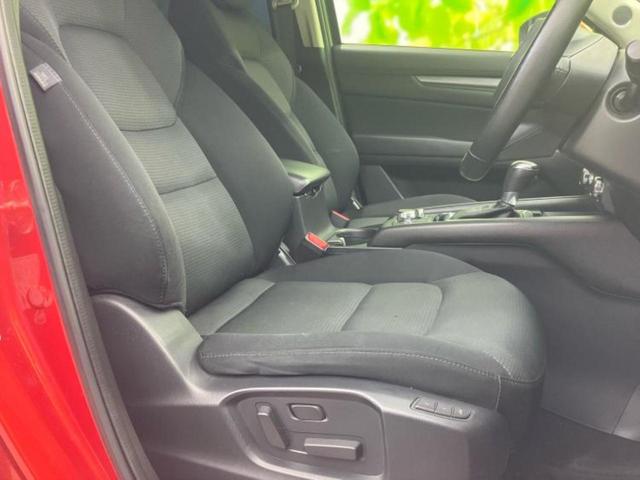 �u���̎Ԃ̎ʐ^�������ƌ������v�u��Ԃ��C�ɂȂ�v�u���̑����͂��Ă���H�v�ǂ�ȏ����ȋ^��ł����C�y�ɂ��₢���킹���������I