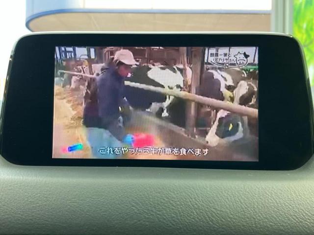 �i�r�A�h�����R�A�d�s�b�A�t���b�v�_�E�����j�^�[�A�f�W�^���C���i�[�~���[�������c��t���\�ł��I�I�v�V�������L�x�Ɏ�葵���Ă���܂��̂ł����S���������I