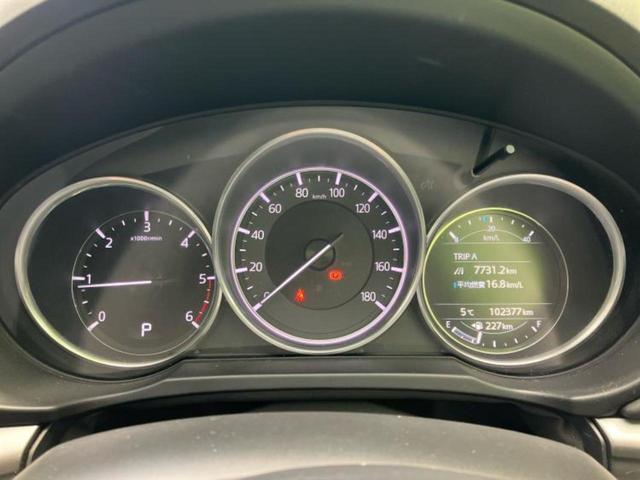 �v�d�b�`�q�r�̓W����ł͎��ۂɌ��āA�G���Ă��Ԃ����I�т��������܂��I�m���̖L�x�ȉc�ƃX�^�b�t���l�X�ȃJ�[���C�t������Ă������܂��I