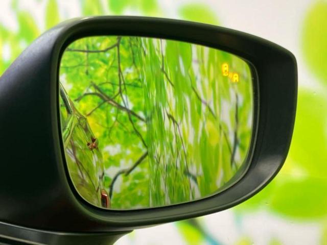 �v�d�b�`�q�r�̓W����ł͎��ۂɌ��āA�G���Ă��Ԃ����I�т��������܂��I�m���̖L�x�ȉc�ƃX�^�b�t���l�X�ȃJ�[���C�t������Ă������܂��I