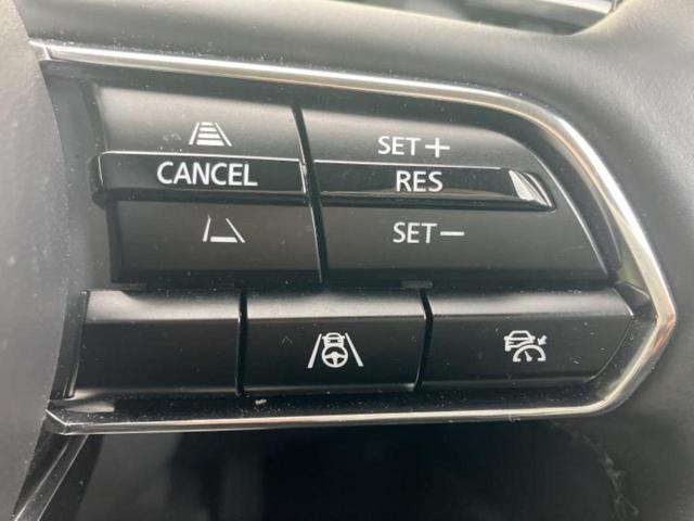 ＣＸ－８０ ＸＤ　Ｌパッケージ　保証書／純正　ＳＤナビ／アイアクティブセンス（マツダ）／シートヒーター　全席／全方位モニター／車線逸脱防止支援システム／シート　フルレザー／電動バックドア／ドライブレコーダー　社外　革シート　ドラレコ（44枚目）