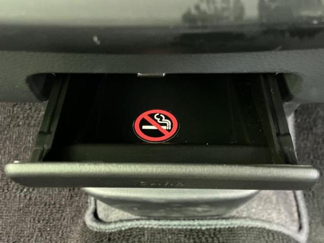 �u���̎Ԃ̎ʐ^�������ƌ������v�u��Ԃ��C�ɂȂ�v�u���̑����͂��Ă���H�v�ǂ�ȏ����ȋ^��ł����C�y�ɂ��₢���킹���������I