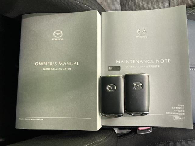 CX-30 4WD20Sプロアクティブツーリングセレクション 保証書/純正 SDナビ/アイアクティブセンス(マツダ)/シートヒーター/360°ビューモニター/車線逸脱防止支援システム/電動バックドア/ドライブレコーダー 前後/ヘッドランプ LED バックカメラ(32枚目)