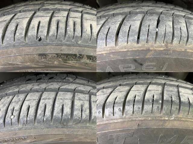 �u���̎Ԃ̎ʐ^�������ƌ������v�u��Ԃ��C�ɂȂ�v�u���̑����͂��Ă���H�v�ǂ�ȏ����ȋ^��ł����C�y�ɂ��₢���킹���������I