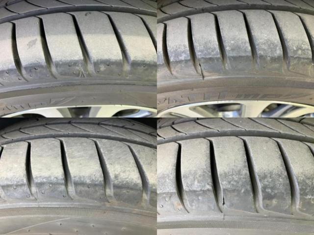 �u���̎Ԃ̎ʐ^�������ƌ������v�u��Ԃ��C�ɂȂ�v�u���̑����͂��Ă���H�v�ǂ�ȏ����ȋ^��ł����C�y�ɂ��₢���킹���������I