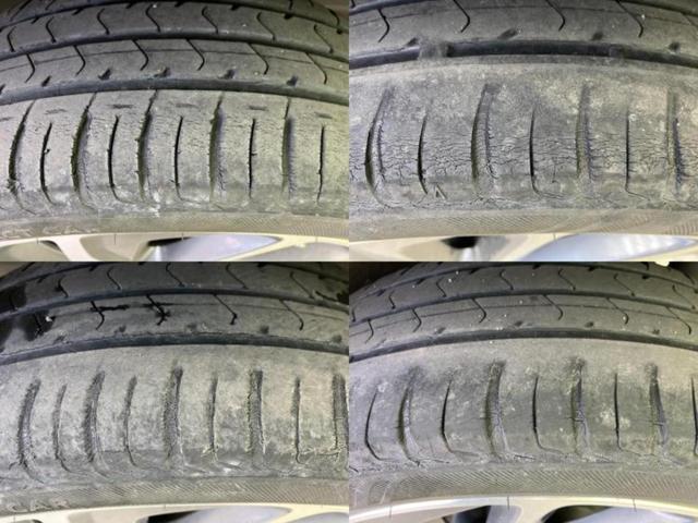 �u���̎Ԃ̎ʐ^�������ƌ������v�u��Ԃ��C�ɂȂ�v�u���̑����͂��Ă���H�v�ǂ�ȏ����ȋ^��ł����C�y�ɂ��₢���킹���������I