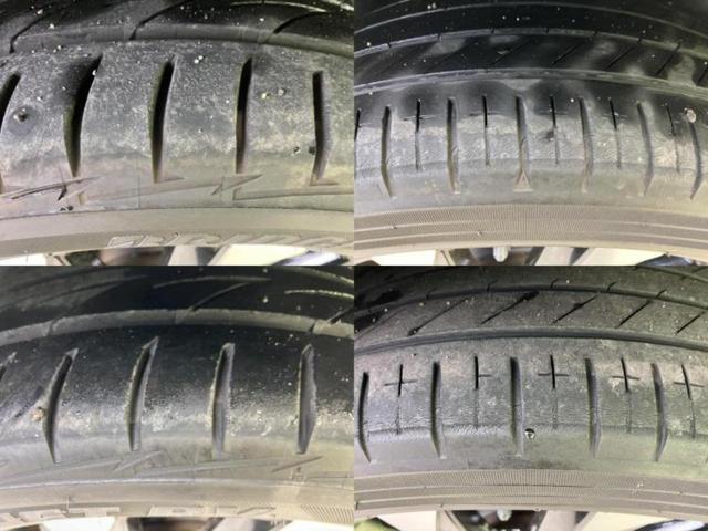 �u���̎Ԃ̎ʐ^�������ƌ������v�u��Ԃ��C�ɂȂ�v�u���̑����͂��Ă���H�v�ǂ�ȏ����ȋ^��ł����C�y�ɂ��₢���킹���������I