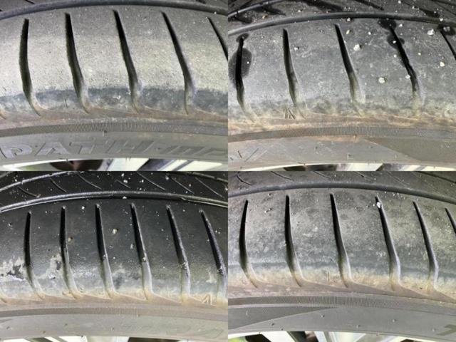 �u���̎Ԃ̎ʐ^�������ƌ������v�u��Ԃ��C�ɂȂ�v�u���̑����͂��Ă���H�v�ǂ�ȏ����ȋ^��ł����C�y�ɂ��₢���킹���������I