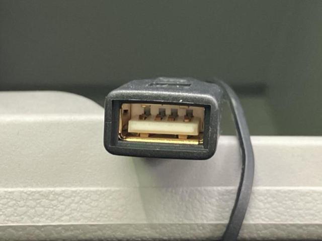 ミライース XリミテッドSA3 新品タイヤ/保証書/純正 SDナビ/スマートアシスト(トヨタ・ダイハツ)/車線逸脱防止支援システム/ドライブレコーダー 純正/ヘッドランプ LED/Bluetooth接続/ETC/EBD付ABS(31枚目)