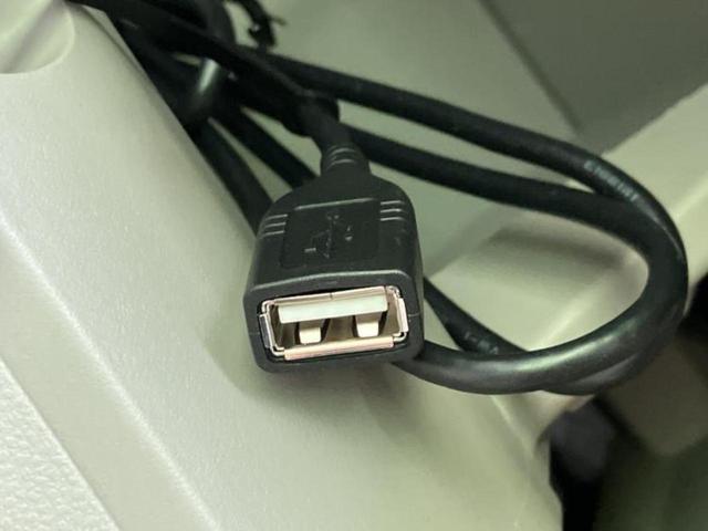 キャスト G SA2 保証書/純正 SDナビ/衝突安全装置/ドライブレコーダー 純正/ヘッドランプ LED/Bluetooth接続/EBD付ABS/横滑り防止装置/アイドリングストップ/フルセグTV/DVD/禁煙車(34枚目)