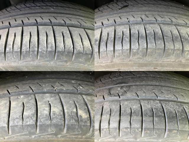 �u���̎Ԃ̎ʐ^�������ƌ������v�u��Ԃ��C�ɂȂ�v�u���̑����͂��Ă���H�v�ǂ�ȏ����ȋ^��ł����C�y�ɂ��₢���킹���������I