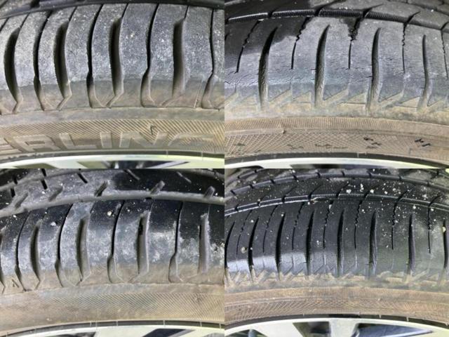 �u���̎Ԃ̎ʐ^�������ƌ������v�u��Ԃ��C�ɂȂ�v�u���̑����͂��Ă���H�v�ǂ�ȏ����ȋ^��ł����C�y�ɂ��₢���킹���������I