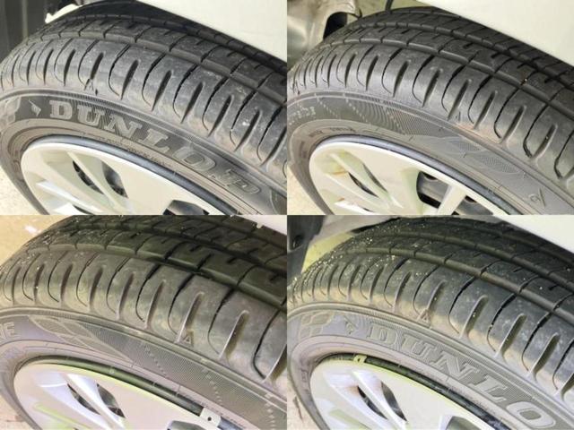 �u���̎Ԃ̎ʐ^�������ƌ������v�u��Ԃ��C�ɂȂ�v�u���̑����͂��Ă���H�v�ǂ�ȏ����ȋ^��ł����C�y�ɂ��₢���킹���������I